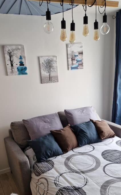 Nemo Petit Studio Cosy. 셀롱지 외부 사진
